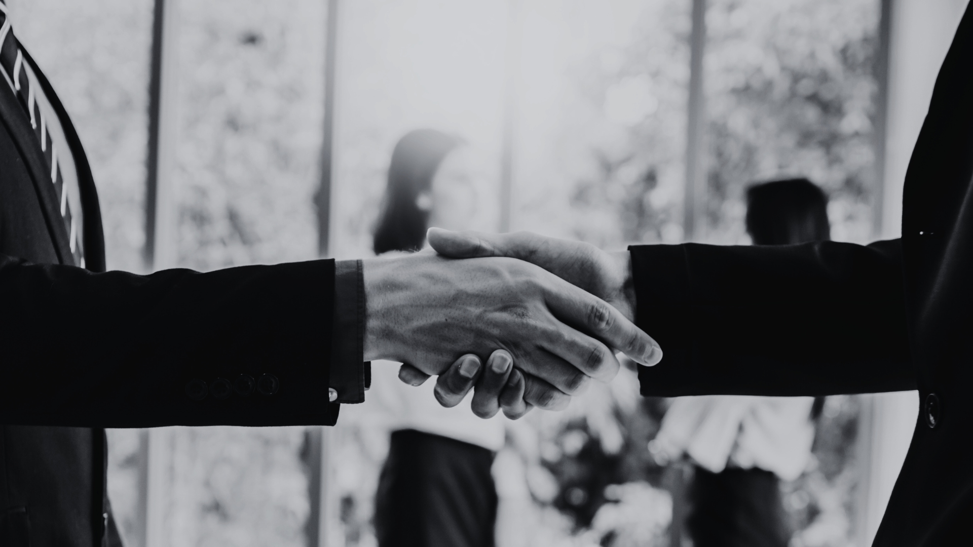 Siyabumba Consulting Company Profile 2023 (1)